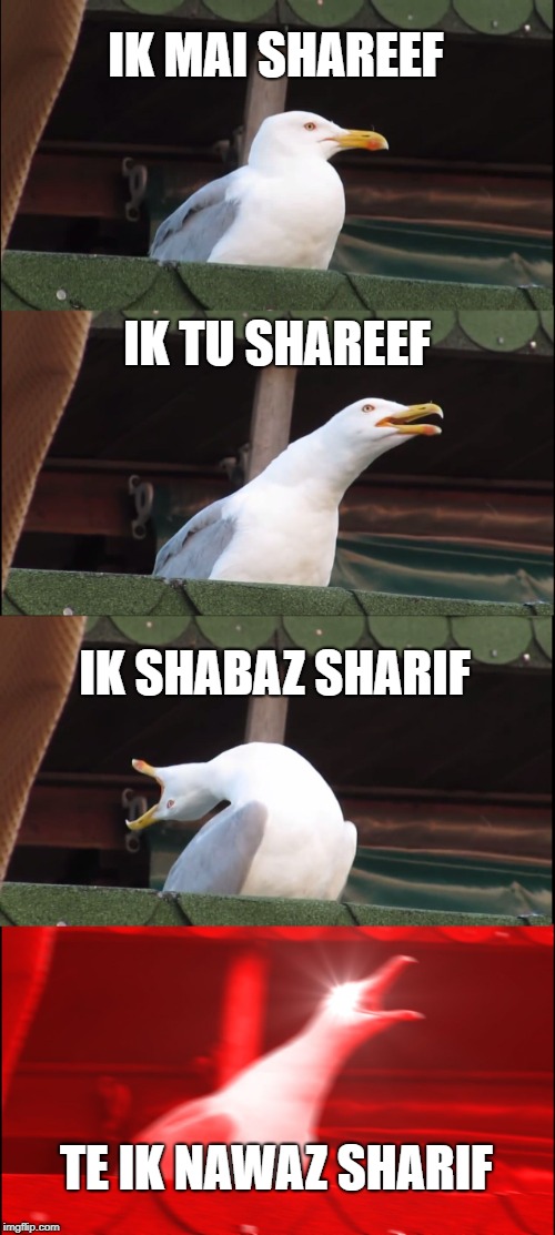 Inhaling Seagull Meme | IK MAI SHAREEF; IK TU SHAREEF; IK SHABAZ SHARIF; TE IK NAWAZ SHARIF | image tagged in memes,inhaling seagull | made w/ Imgflip meme maker