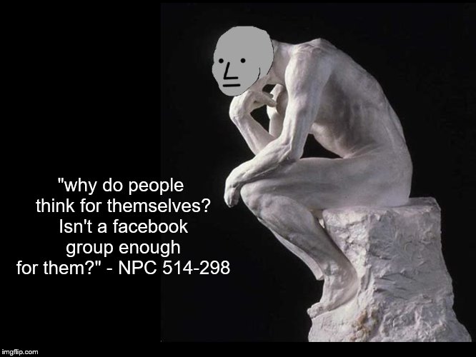 The Group Thinker | "why do people think for themselves? Isn't a facebook group enough for them?" - NPC 514-298 | image tagged in npc thinker,memes,npc | made w/ Imgflip meme maker