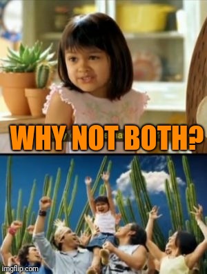 Why Not Both Meme | WHY NOT BOTH? | image tagged in memes,why not both | made w/ Imgflip meme maker