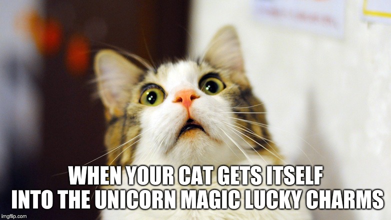 Unicorn Magic | WHEN YOUR CAT GETS ITSELF INTO THE UNICORN MAGIC LUCKY CHARMS | image tagged in memes | made w/ Imgflip meme maker