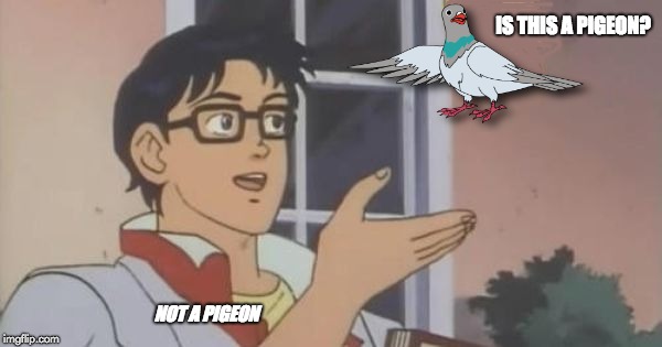 Is This a Pigeon | IS THIS A PIGEON? NOT A PIGEON | image tagged in is this a pigeon | made w/ Imgflip meme maker