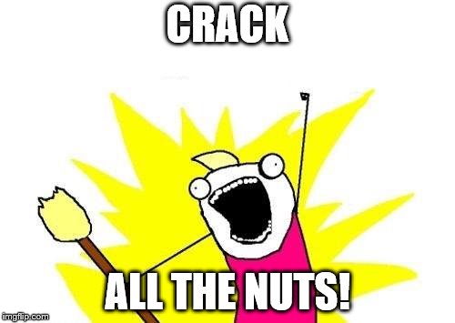 X All The Y Meme | CRACK; ALL THE NUTS! | image tagged in memes,x all the y | made w/ Imgflip meme maker