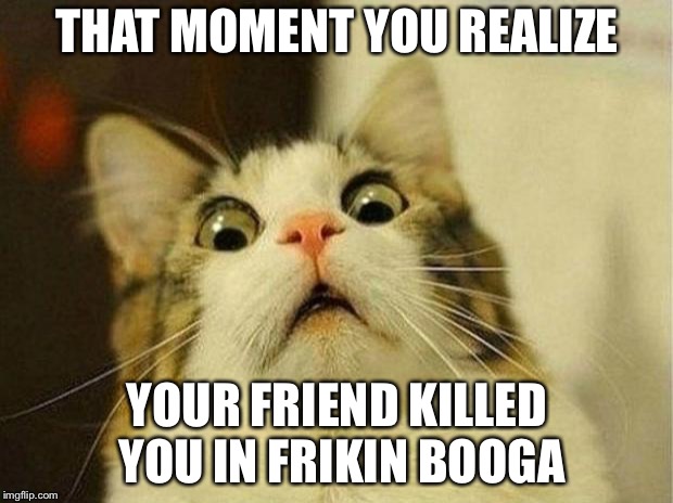 Scared Cat Meme | THAT MOMENT YOU REALIZE; YOUR FRIEND KILLED YOU IN FRIKIN BOOGA | image tagged in memes,scared cat | made w/ Imgflip meme maker
