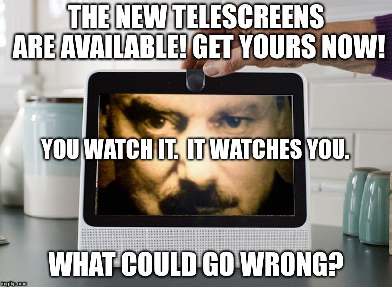 The new Telescreens are available! Get yours now! | THE NEW TELESCREENS ARE AVAILABLE! GET YOURS NOW! YOU WATCH IT.  IT WATCHES YOU. WHAT COULD GO WRONG? | image tagged in facebook portal,facebook hack,smart tv,1984,big brother,george orwell | made w/ Imgflip meme maker