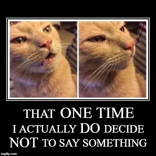 ONE TIME; THAT; DO; I ACTUALLY          DECIDE; NOT; TO SAY SOMETHING | image tagged in cat,silence,politics,stupidity,stupid people,that face you make when | made w/ Imgflip meme maker
