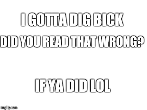 Blank White Template | I GOTTA DIG BICK; DID YOU READ THAT WRONG? IF YA DID LOL | image tagged in blank white template | made w/ Imgflip meme maker