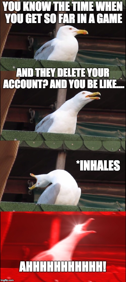 Inhaling Seagull | YOU KNOW THE TIME WHEN YOU GET SO FAR IN A GAME; AND THEY DELETE YOUR ACCOUNT? AND YOU BE LIKE.... *INHALES; AHHHHHHHHHHH! | image tagged in memes,inhaling seagull | made w/ Imgflip meme maker