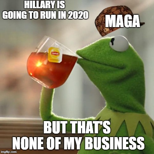 But That's None Of My Business | HILLARY IS GOING TO RUN IN 2020; MAGA; BUT THAT'S NONE OF MY BUSINESS | image tagged in memes,but thats none of my business,kermit the frog,scumbag | made w/ Imgflip meme maker