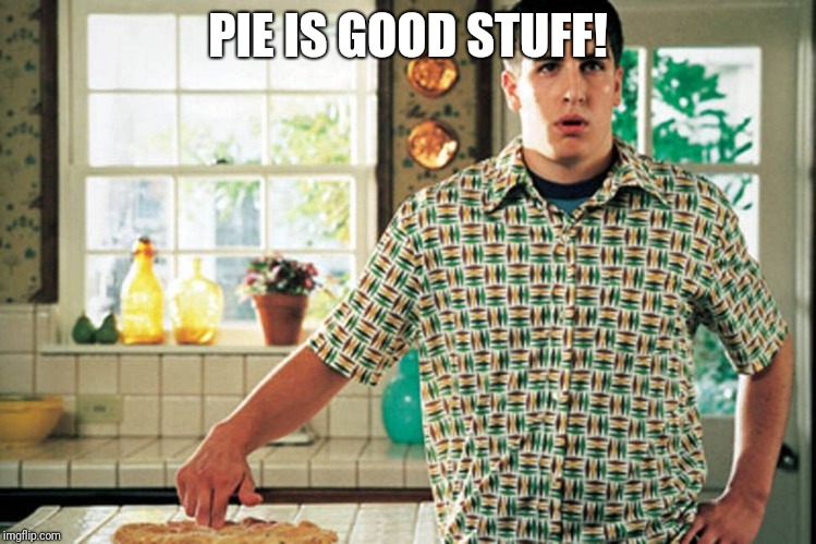 Jason Biggs American Pie | PIE IS GOOD STUFF! | image tagged in jason biggs american pie | made w/ Imgflip meme maker