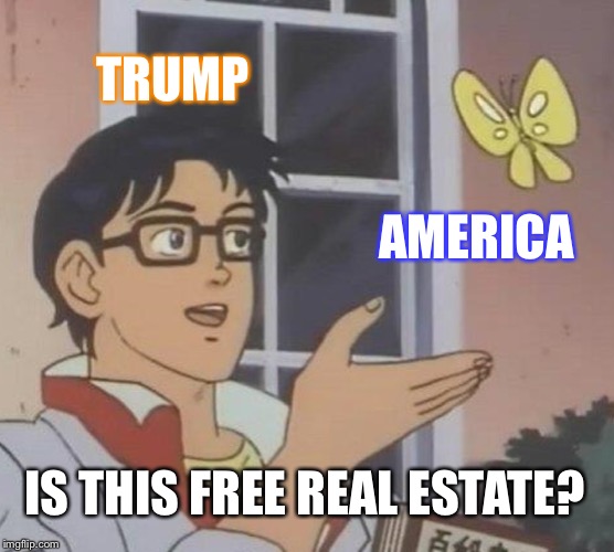 Is This A Pigeon | TRUMP; AMERICA; IS THIS FREE REAL ESTATE? | image tagged in memes,is this a pigeon | made w/ Imgflip meme maker