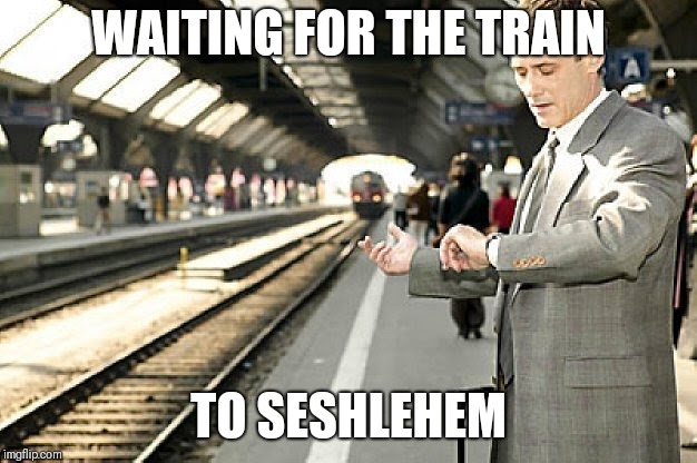 WAITING FOR THE TRAIN; TO SESHLEHEM | image tagged in waiting for the train to,memes | made w/ Imgflip meme maker