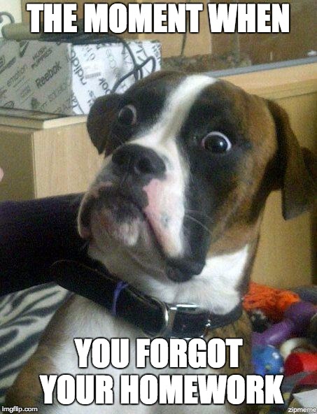 Funny Dog | THE MOMENT WHEN; YOU FORGOT YOUR HOMEWORK | image tagged in funny dog | made w/ Imgflip meme maker
