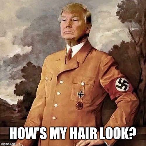 Twitler | HOW’S MY HAIR LOOK? | image tagged in donald trump,hitler | made w/ Imgflip meme maker