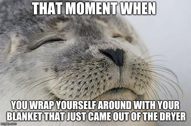 Satisfied Seal | THAT MOMENT WHEN; YOU WRAP YOURSELF AROUND WITH YOUR BLANKET THAT JUST CAME OUT OF THE DRYER | image tagged in memes,satisfied seal | made w/ Imgflip meme maker