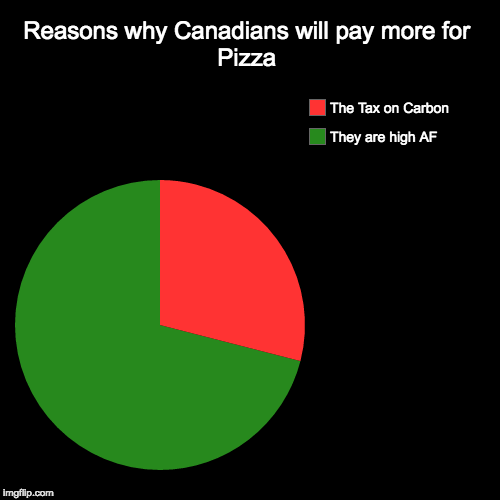 Reasons why Canadians will pay more for Pizza | They are high AF , The Tax on Carbon | image tagged in funny,pie charts | made w/ Imgflip chart maker