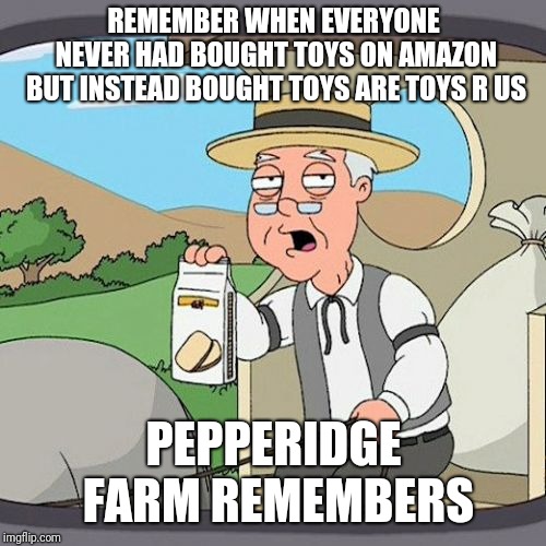 Pepperidge Farm Remembers Meme | REMEMBER WHEN EVERYONE NEVER HAD BOUGHT TOYS ON AMAZON BUT INSTEAD BOUGHT TOYS ARE TOYS R US PEPPERIDGE FARM REMEMBERS | image tagged in memes,pepperidge farm remembers | made w/ Imgflip meme maker