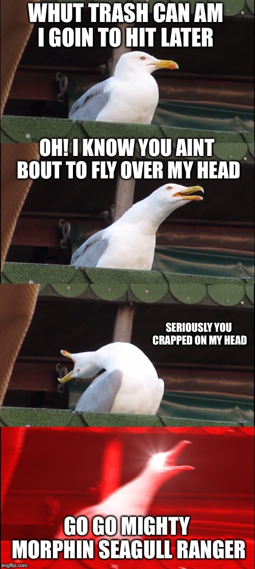 Inhaling Seagull Meme | WHUT TRASH CAN AM I GOIN TO HIT LATER; OH! I KNOW YOU AINT BOUT TO FLY OVER MY HEAD; SERIOUSLY YOU CRAPPED ON MY HEAD; GO GO MIGHTY MORPHIN SEAGULL RANGER | image tagged in memes,inhaling seagull | made w/ Imgflip meme maker