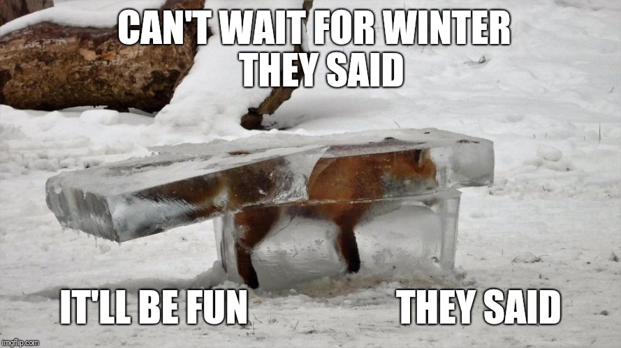 CAN'T WAIT FOR
WINTER               THEY SAID; IT'LL BE FUN                    THEY SAID | made w/ Imgflip meme maker