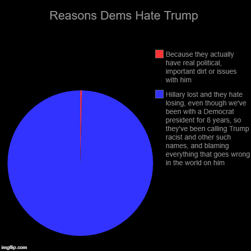 That's that! That's how it seems | Reasons Dems Hate Trump | Hillary lost and they hate losing, even though we've been with a Democrat president for 8 years, so they've been c | image tagged in pie charts,political,donald trump,reason | made w/ Imgflip chart maker