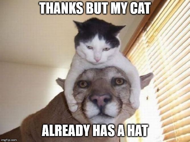 THANKS BUT MY CAT ALREADY HAS A HAT | made w/ Imgflip meme maker