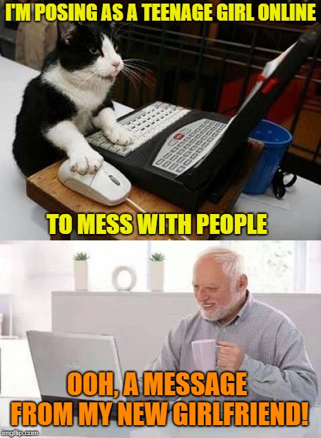 Cat-fishing  | I'M POSING AS A TEENAGE GIRL ONLINE; TO MESS WITH PEOPLE; OOH, A MESSAGE FROM MY NEW GIRLFRIEND! | image tagged in memes,funny memes,cat,scam,harold | made w/ Imgflip meme maker