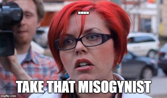 Angry Feminist | .... TAKE THAT MISOGYNIST | image tagged in angry feminist | made w/ Imgflip meme maker