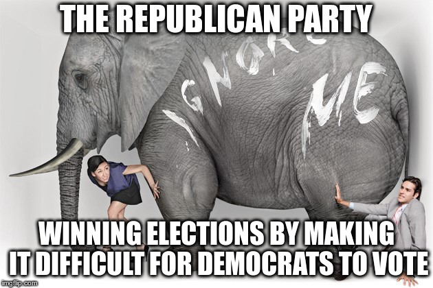 Maybe try making policies people like instead? | THE REPUBLICAN PARTY; WINNING ELECTIONS BY MAKING IT DIFFICULT FOR DEMOCRATS TO VOTE | image tagged in humor,voter suppression,republicans,democrats,elephant in the room | made w/ Imgflip meme maker