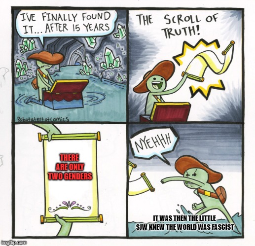 Scroll Of Truth | TWO GENDERS | THERE ARE ONLY TWO GENDERS; IT WAS THEN THE LITTLE SJW KNEW THE WORLD WAS FASCIST | image tagged in memes,the scroll of truth,funny memes,sjws | made w/ Imgflip meme maker