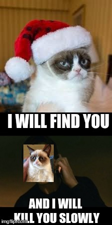 I WILL FIND YOU; AND I WILL KILL YOU SLOWLY | image tagged in grumpy cat,memes | made w/ Imgflip meme maker