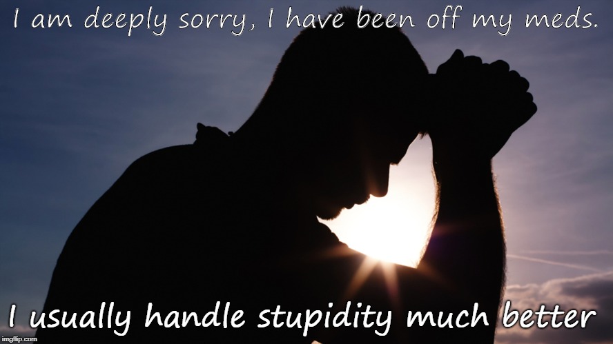 Stoooopid | I am deeply sorry, I have been off my meds. I usually handle stupidity much better | image tagged in stupid,stupid people,special kind of stupid | made w/ Imgflip meme maker