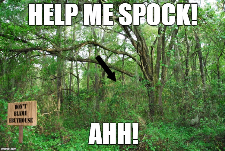 HELP ME SPOCK! AHH! | image tagged in ninja in the woods,funny,the scream,surak not surak,star trek | made w/ Imgflip meme maker
