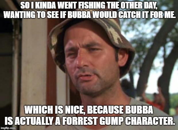 So I Got That Goin For Me Which Is Nice | SO I KINDA WENT FISHING THE OTHER DAY, WANTING TO SEE IF BUBBA WOULD CATCH IT FOR ME. WHICH IS NICE, BECAUSE BUBBA IS ACTUALLY A FORREST GUMP CHARACTER. | image tagged in memes,so i got that goin for me which is nice | made w/ Imgflip meme maker