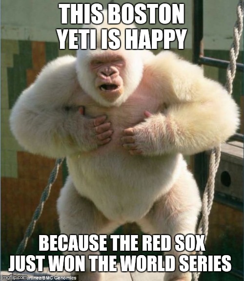 BostonYeti | THIS BOSTON YETI IS HAPPY; BECAUSE THE RED SOX JUST WON THE WORLD SERIES | image tagged in bostonyeti | made w/ Imgflip meme maker