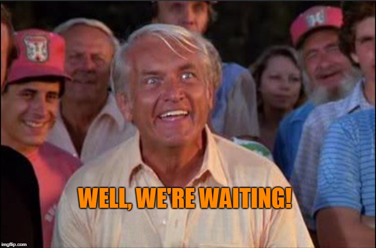 Well we're waiting | WELL, WE'RE WAITING! | image tagged in well we're waiting | made w/ Imgflip meme maker
