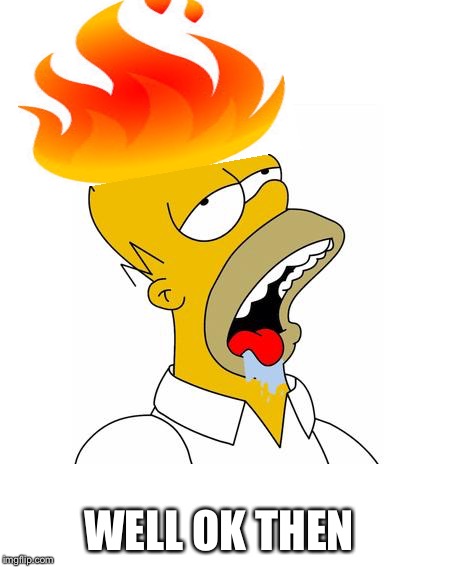 Homer Simpson Drooling | WELL OK THEN | image tagged in homer simpson drooling | made w/ Imgflip meme maker