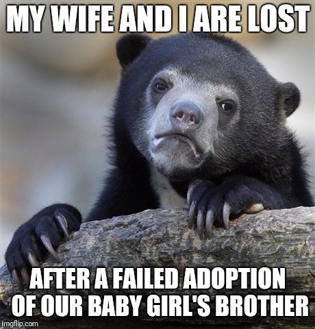 Sorry to bother the flip but we need some answers | MY WIFE AND I ARE LOST; AFTER A FAILED ADOPTION OF OUR BABY GIRL'S BROTHER | image tagged in memes,confession bear,adoption,family,god | made w/ Imgflip meme maker