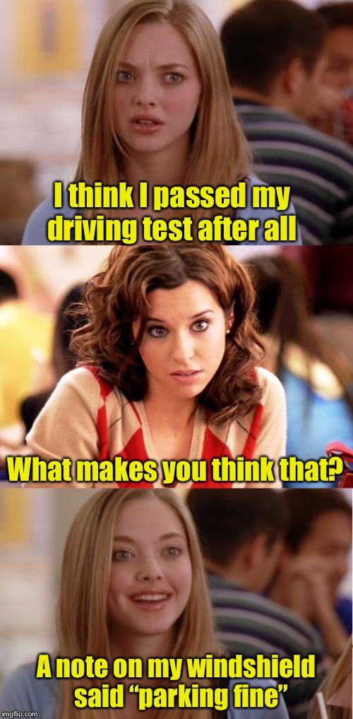 Blonde Pun | I think I passed my driving test after all; What makes you think that? A note on my windshield  said “parking fine” | image tagged in blonde pun | made w/ Imgflip meme maker