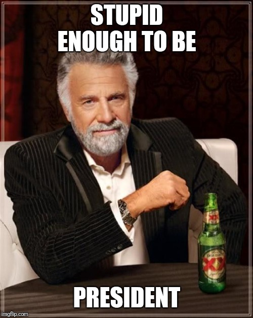 The Most Interesting Man In The World Meme | STUPID ENOUGH TO BE PRESIDENT | image tagged in memes,the most interesting man in the world | made w/ Imgflip meme maker