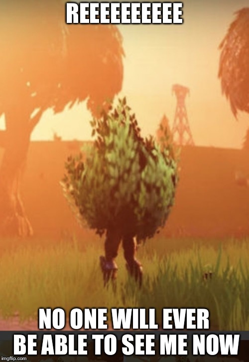 Fortnite bush | REEEEEEEEEE; NO ONE WILL EVER BE ABLE TO SEE ME NOW | image tagged in fortnite bush | made w/ Imgflip meme maker