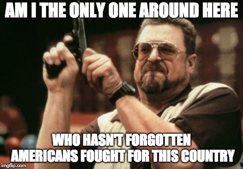 Am I The Only One Around Here Meme | AM I THE ONLY ONE AROUND HERE; WHO HASN'T FORGOTTEN AMERICANS FOUGHT FOR THIS COUNTRY | image tagged in memes,am i the only one around here | made w/ Imgflip meme maker