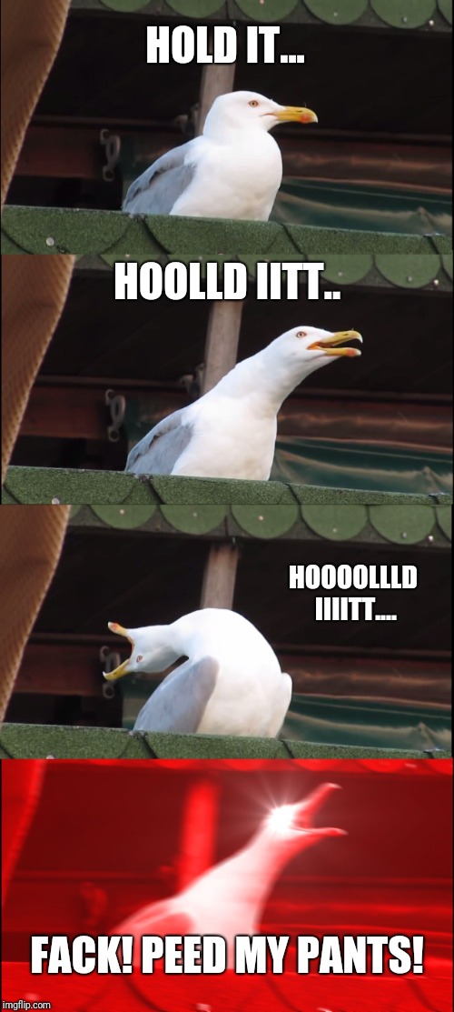 Inhaling Seagull Meme | HOLD IT... HOOLLD IITT.. HOOOOLLLD IIIITT.... FACK! PEED MY PANTS! | image tagged in memes,inhaling seagull | made w/ Imgflip meme maker