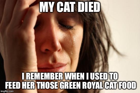 First World Problems Meme | MY CAT DIED; I REMEMBER WHEN I USED TO FEED HER THOSE GREEN ROYAL CAT FOOD | image tagged in memes,first world problems | made w/ Imgflip meme maker