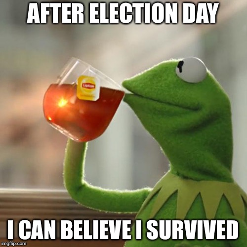 But That's None Of My Business | AFTER ELECTION DAY; I CAN BELIEVE I SURVIVED | image tagged in memes,but thats none of my business,kermit the frog | made w/ Imgflip meme maker