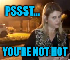 Racism is not sexy | PSSST... YOU'RE NOT HOT | image tagged in susan westwood | made w/ Imgflip meme maker