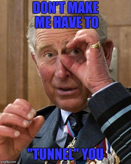 prince charles | DON'T MAKE ME HAVE TO "TUNNEL" YOU | image tagged in prince charles | made w/ Imgflip meme maker