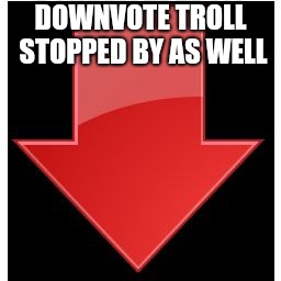 downvotes | DOWNVOTE TROLL STOPPED BY AS WELL | image tagged in downvotes | made w/ Imgflip meme maker