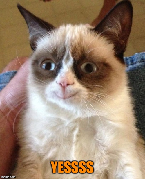 Grumpy Cat Happy Meme | YESSSS | image tagged in memes,grumpy cat happy,grumpy cat | made w/ Imgflip meme maker