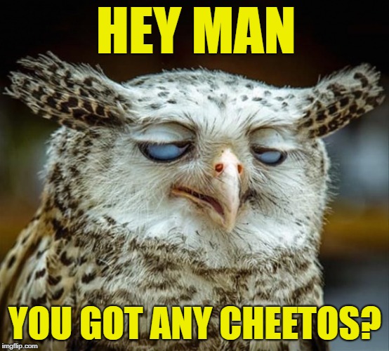 Got Any Cheetos | HEY MAN; YOU GOT ANY CHEETOS? | image tagged in high,too high,munchies,weed,stoner | made w/ Imgflip meme maker
