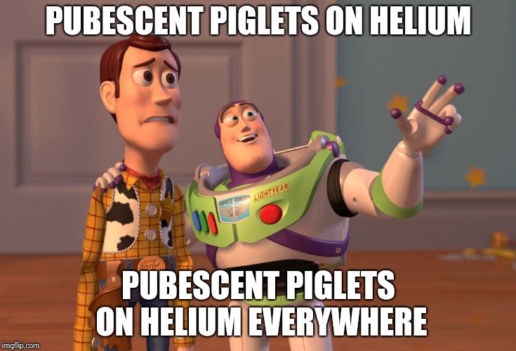 X, X Everywhere Meme | PUBESCENT PIGLETS ON HELIUM PUBESCENT PIGLETS ON HELIUM EVERYWHERE | image tagged in memes,x x everywhere | made w/ Imgflip meme maker