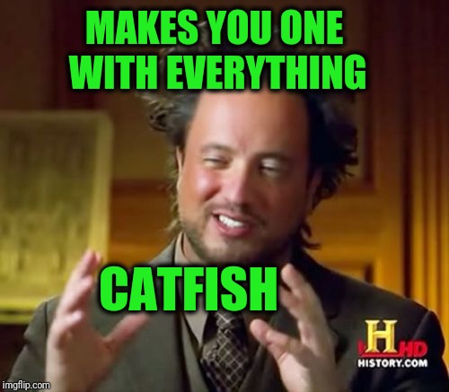 Ancient Aliens Meme | MAKES YOU ONE WITH EVERYTHING CATFISH | image tagged in memes,ancient aliens,scumbag | made w/ Imgflip meme maker